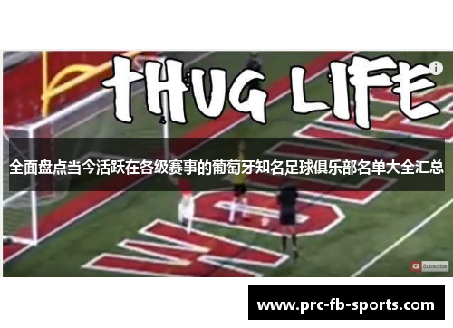 全面盘点当今活跃在各级赛事的葡萄牙知名足球俱乐部名单大全汇总