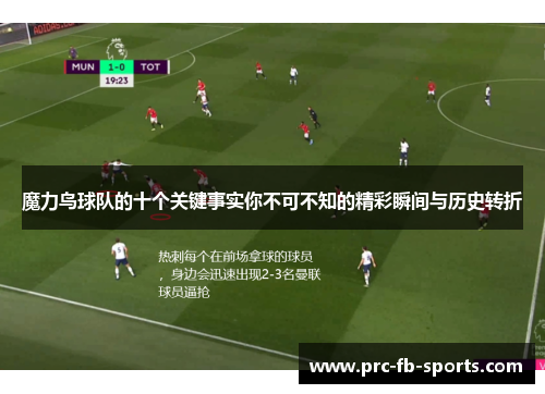 魔力鸟球队的十个关键事实你不可不知的精彩瞬间与历史转折 魔力鸟球队的十个关键事实你不可不知的精彩瞬间与历史转折